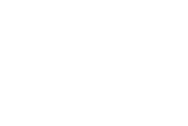 InsightX