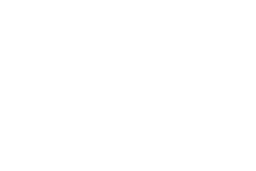 SecureNavi
