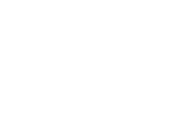 ROOT TEAM