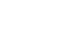 ヤモリ